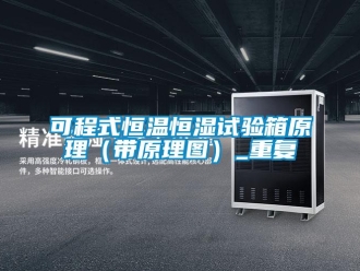 知识百科可程式恒温恒湿试验箱原理（带原理图）_重复