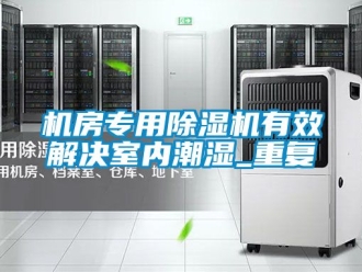行业资讯机房专用除湿机有效解决室内潮湿_重复