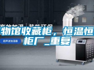 知识百科博物馆收藏柜，恒温恒湿柜厂_重复