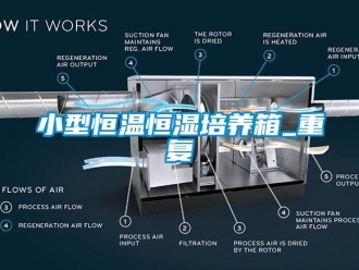 知识百科小型恒温恒湿培养箱_重复