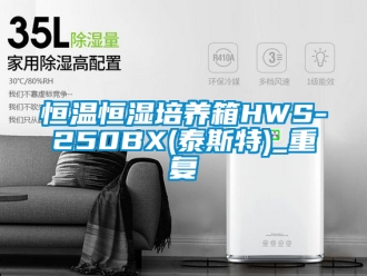 知识百科恒温恒湿培养箱HWS-250BX(泰斯特)_重复