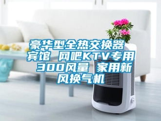 企业动态豪华型全热交换器 宾馆 网吧KTV专用 300风量 家用新风换气机