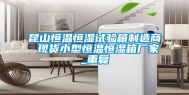 昆山恒温恒湿试验箱制造商 现货小型恒温恒湿箱厂家_重复