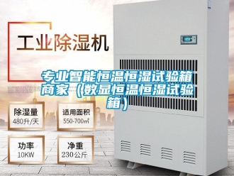 知识百科专业智能恒温恒湿试验箱商家（数显恒温恒湿试验箱）