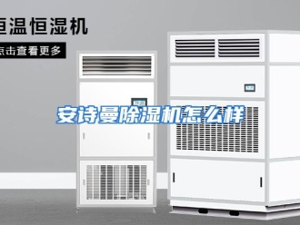 常见问题安诗曼除湿机怎么样