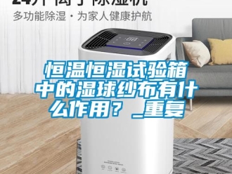 知识百科恒温恒湿试验箱中的湿球纱布有什么作用？_重复