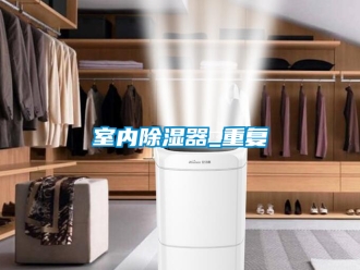 行业资讯室内除湿器_重复