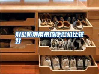 知识百科别墅防潮用吊顶除湿机比较好
