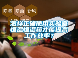 知识百科怎样正确使用实验室恒温恒湿箱才能提高工作效率？