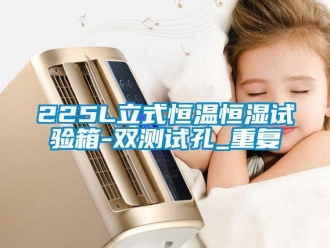 常见问题225L立式恒温恒湿试验箱-双测试孔_重复