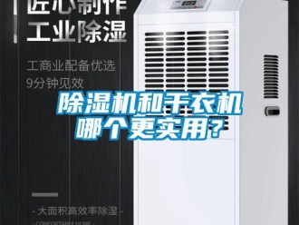 常见问题除湿机和干衣机哪个更实用？