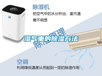 企业动态湿气重的除湿方法