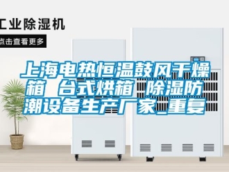知识百科上海电热恒温鼓风干燥箱 台式烘箱 除湿防潮设备生产厂家_重复