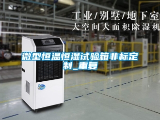 知识百科微型恒温恒湿试验箱非标定制_重复