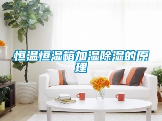 知识百科恒温恒湿箱加湿除湿的原理