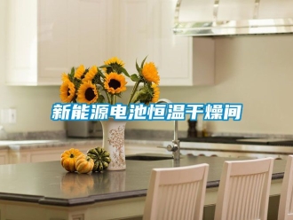 知识百科新能源电池恒温干燥间