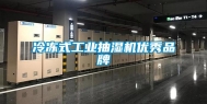 冷冻式工业抽湿机优秀品牌