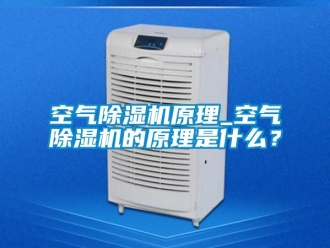 行业资讯空气除湿机原理_空气除湿机的原理是什么？