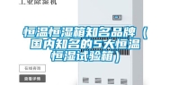恒温恒湿箱知名品牌（国内知名的5大恒温恒湿试验箱）