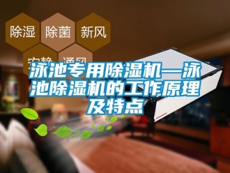 行业资讯泳池专用除湿机—泳池除湿机的工作原理及特点