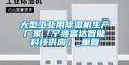 大型工业用除湿机生产厂家「宁波富达智能科技供应」_重复