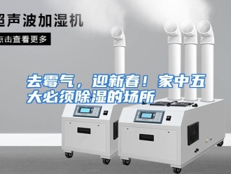 行业资讯去霉气，迎新春！家中五大必须除湿的场所