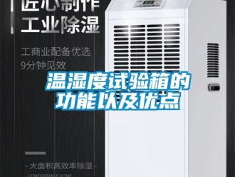 企业动态温湿度试验箱的功能以及优点