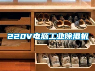 常见问题220V电源工业除湿机