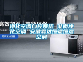 知识百科净化空调自控系统 淮南净化空调 安徽霖达恒温恒湿空调