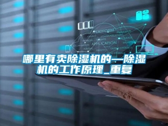 行业资讯哪里有卖除湿机的—除湿机的工作原理_重复