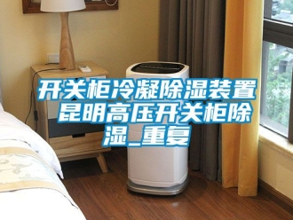 行业资讯开关柜冷凝除湿装置 昆明高压开关柜除湿_重复