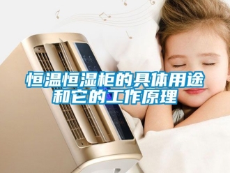 知识百科恒温恒湿柜的具体用途和它的工作原理