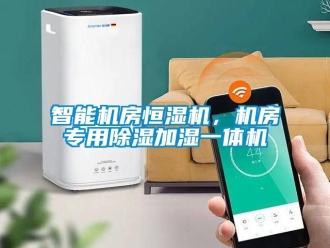 知识百科智能机房恒湿机，机房专用除湿加湿一体机
