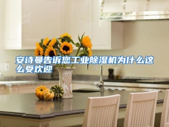 常见问题安诗曼告诉您工业除湿机为什么这么受欢迎