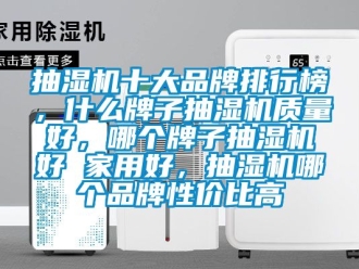 企业动态抽湿机十大品牌排行榜，什么牌子抽湿机质量好，哪个牌子抽湿机好 家用好，抽湿机哪个品牌性价比高