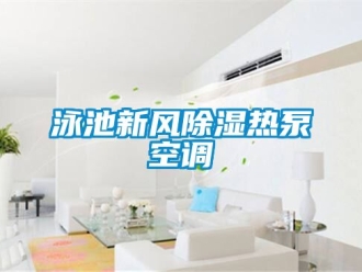 企业动态泳池新风除湿热泵空调