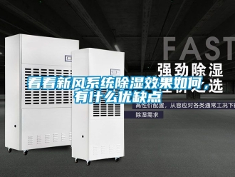 行业资讯看看新风系统除湿效果如何，有什么优缺点