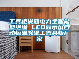 知识百科工具柜供应电力全智能型绝缘 LED显示屏自动恒温除湿工器具柜厂家
