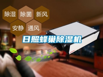 行业资讯日照蜂巢除湿机
