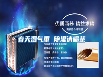 知识百科春天湿气重 除湿请喝茶