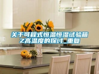 知识百科关于可程式恒温恒湿试验箱Z高温度的探讨_重复