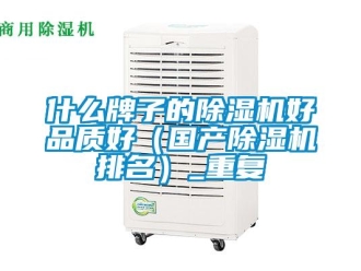 行业资讯什么牌子的除湿机好品质好（国产除湿机排名）_重复