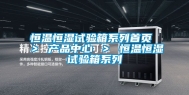 恒温恒湿试验箱系列首页 ＞ 产品中心 ＞ 恒温恒湿试验箱系列