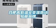合肥高低温交变湿热试验箱品牌