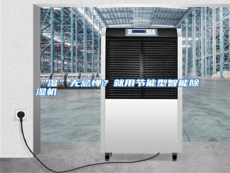 知识百科“湿”无忌惮？就用节能型智能除湿机