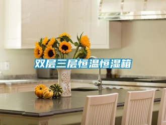 知识百科双层三层恒温恒湿箱