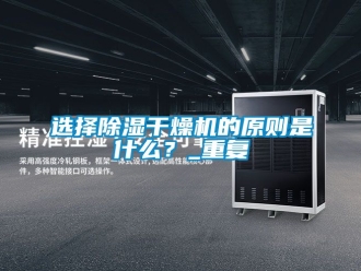行业资讯选择除湿干燥机的原则是什么？_重复