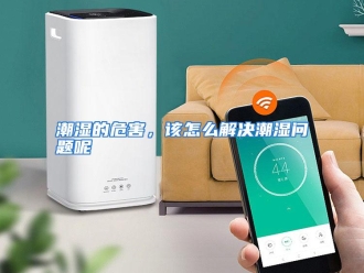 常见问题潮湿的危害，该怎么解决潮湿问题呢