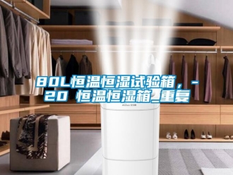 常见问题80L恒温恒湿试验箱，-20℃恒温恒湿箱_重复