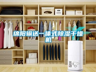 行业资讯绵阳输送一体式除湿干燥机